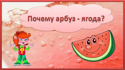 Полярное притяжение: почему арбуз сладкий, а свиной хрящик соленый?