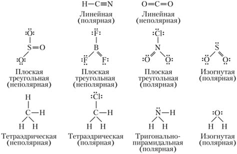 Полярность молекулы: важные аспекты