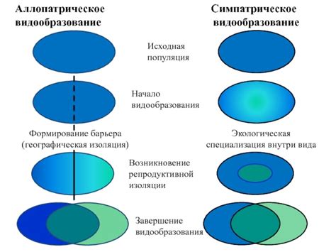 Поменьше многообразия