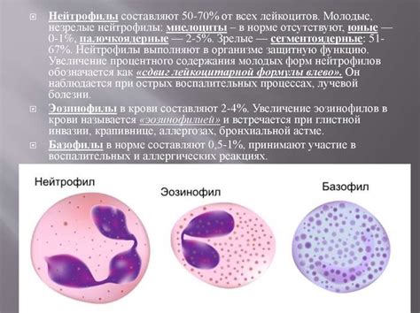 Понижение уровня нейтрофилов