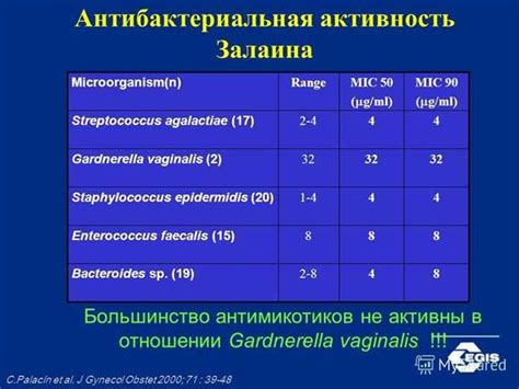 Пониженные энтерококки: что они значат и как справиться с проблемой