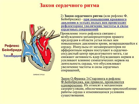 Пониженный сердечный выброс и его последствия