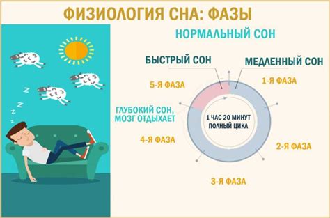 Понимание значения сна и его влияние: акула и важность осознания