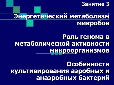 Понимание метаболической активности в организме