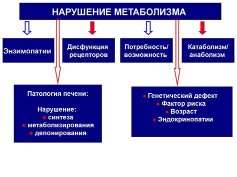 Понимание нарушения метаболизма нейротрансмиттеров