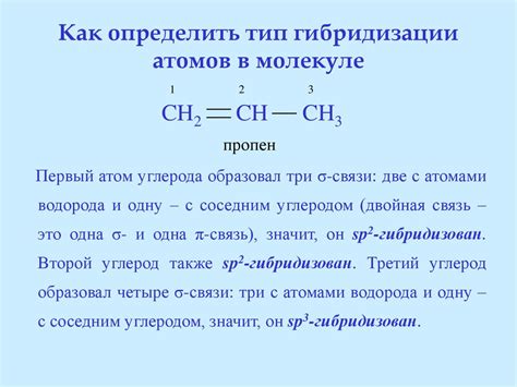 Понимание различных типов атомов углерода: наблюдаемые влияния на химические соединения