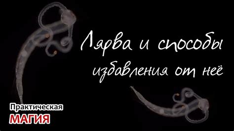 Понимание сакрального значения символа лярва и его роль в осмыслении сновидений