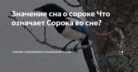 Понимание себя: значение сна о куртке яркого цвета и его применимость в повседневной жизни