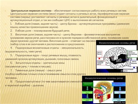 Понимание сигналов и смысла