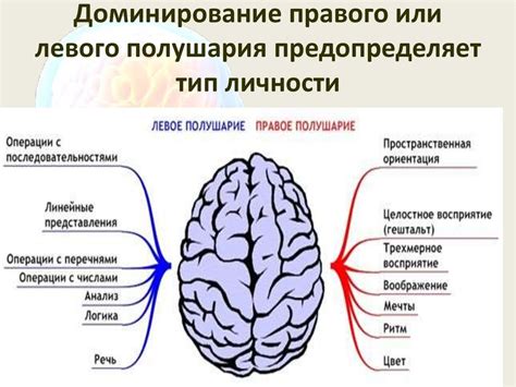 Понятие "неполное доминирование правого полушария"