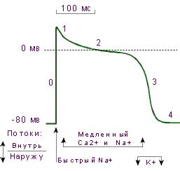 Понятие "связанные кровью" и его происхождение