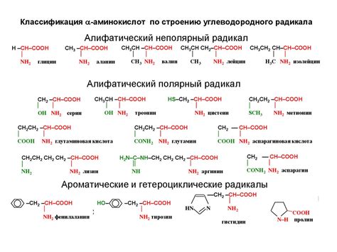 Понятие альфа-аминокислот и их классификация