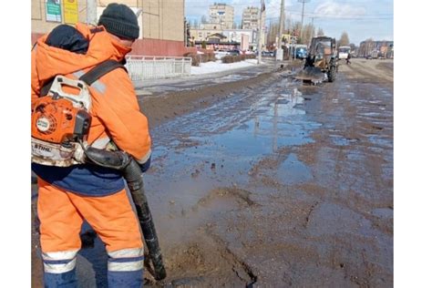 Понятие бить по хвостам и его значение