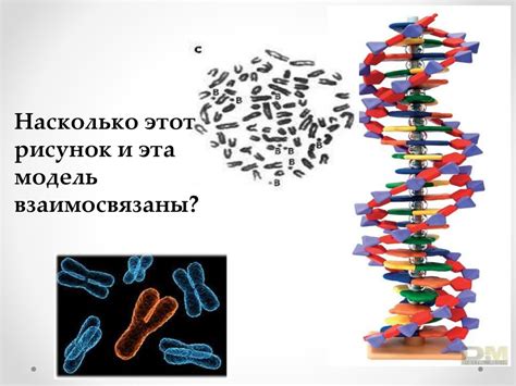 Понятие генетического материала