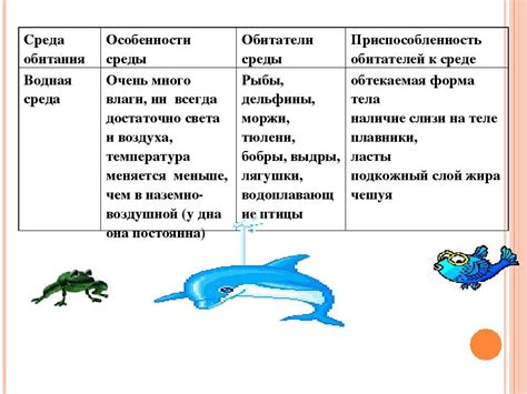 Понятие и характеристики водной ямы