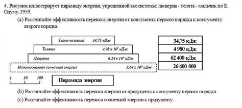 Понятие консумента первого порядка