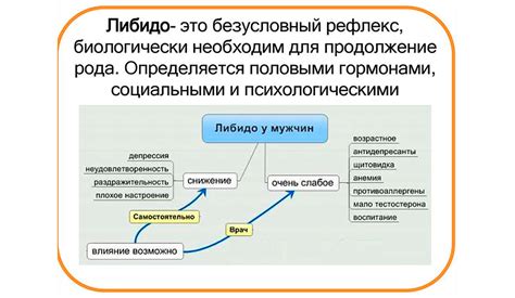 Понятие либидо и его значение