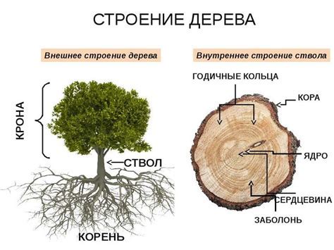 Понятие мужества и его основные характеристики