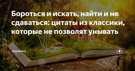 Понятие не сдаваться: важность и значение