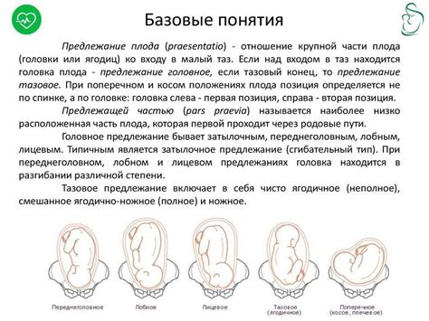 Понятие низкого положения головы у плода