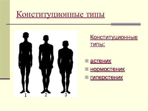 Понятие нормостеник