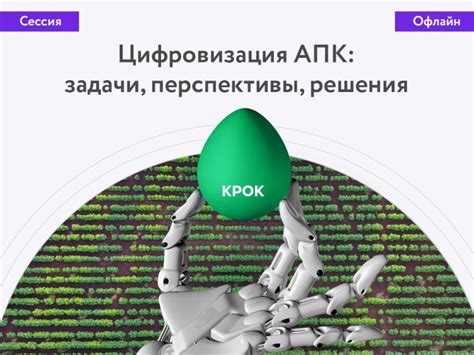 Понятие перспективы решения