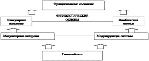 Понятие психофизиологического состояния