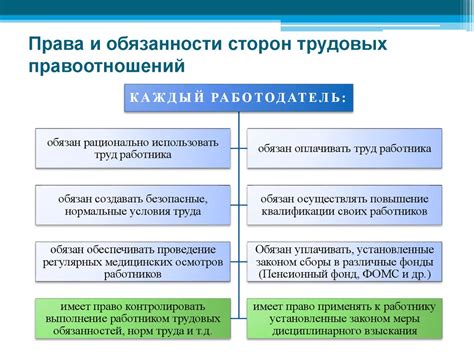 Понятие руферов: основные знания и обязанности