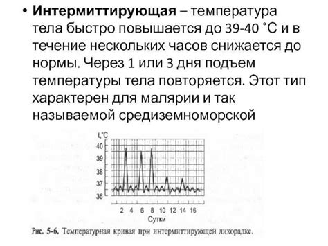 Понятие температура 35,5 и ее значение