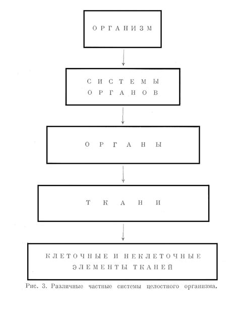 Понятие MED