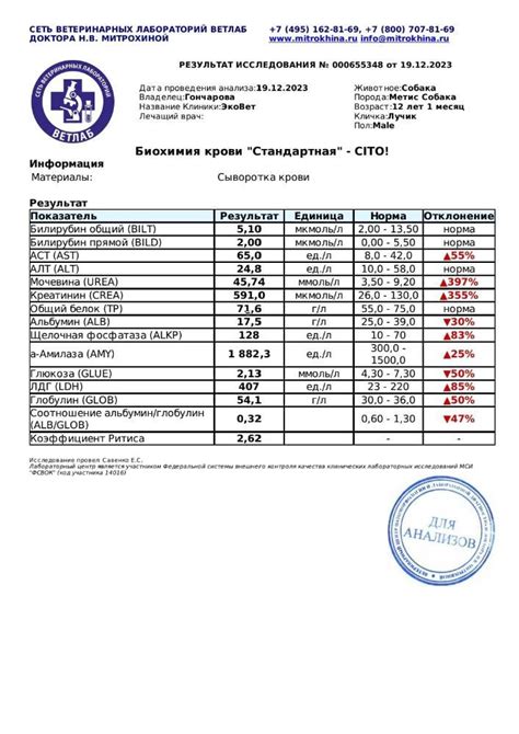 Понятное объяснение ХПН: как расшифровывается и что означает это заболевание?