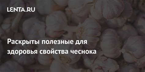 Популярное поверье: сон о применении чеснока и его символическое значение