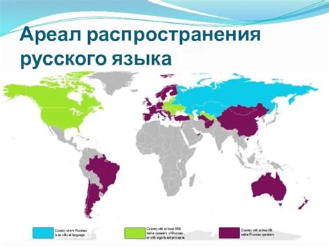 Популярность и распространение милавицы в современном мире