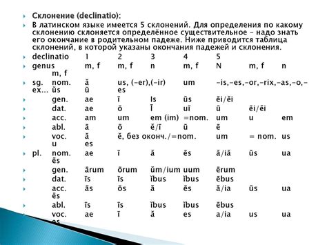 Популярность латинских имен в современном мире