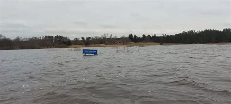 Популярность набас жаргона в современном обществе