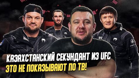 Популярность проекта UFC в мире