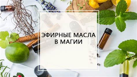 Популярные применения волчьего жира в магии