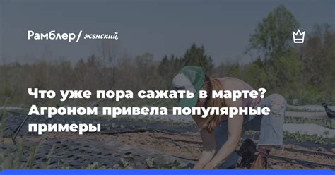 Популярные примеры ништячного взгрева