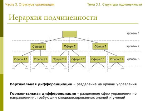 Порядок подчиненности в организации