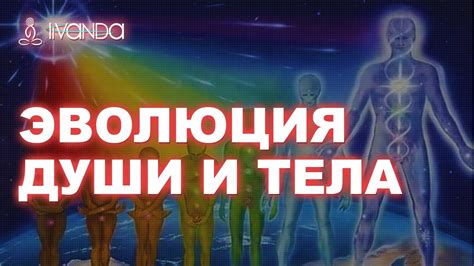 Посещение небесных исцелителей: трансформация тела и души