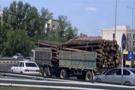 Последние изменения в законодательстве о вывозе леса