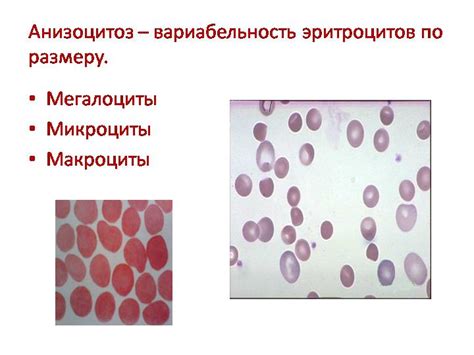 Последствия анизоцитоза смешанного