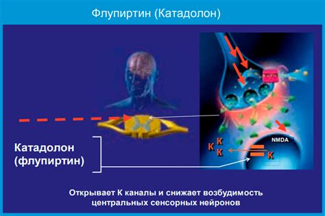 Последствия вокализации у собак и подходы к их решению