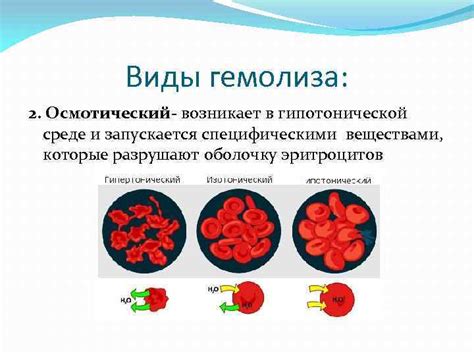 Последствия гемолиза крови