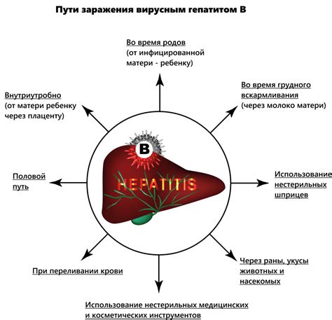 Последствия гепатита Б