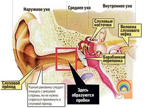 Последствия гноя в ушах