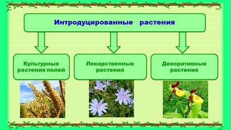 Последствия деградации для экосистем