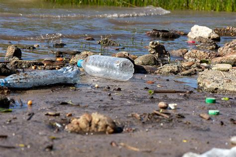 Последствия заспамленности воды для водных систем