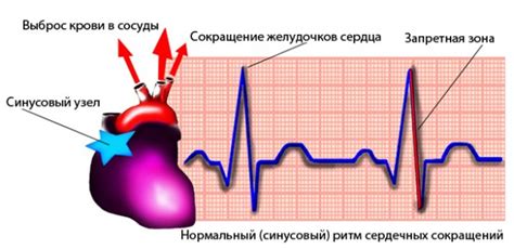 Последствия изменений в сердечном ритме