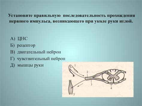 Последствия легкой руки при уколе